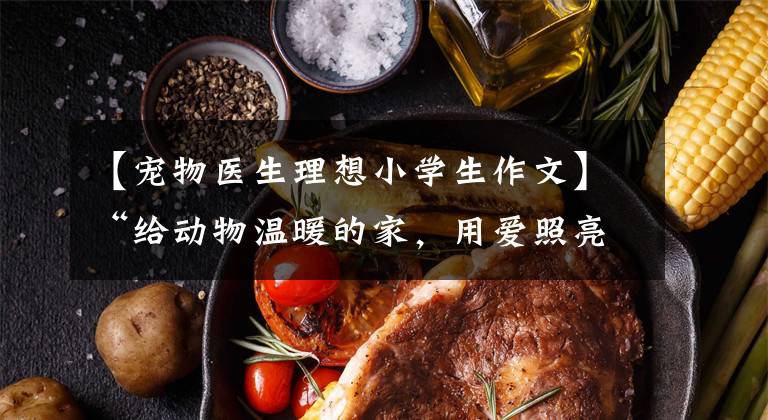 【宠物医生理想小学生作文】“给动物温暖的家,用爱照亮前路”——来自野生动物“急救医生”的声音