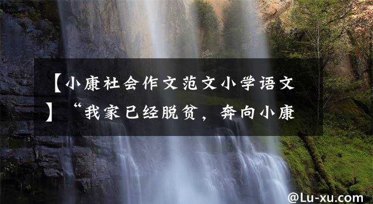 【小康社会作文范文小学语文】“我家已经脱贫,奔向小康,日子会越来越兴旺。”