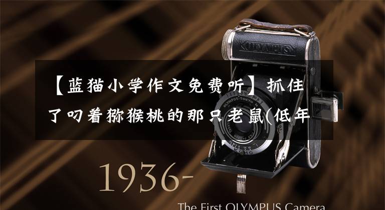 【蓝猫小学作文免费听】抓住了叼着猕猴桃的那只老鼠(低年级)《杨柳风学堂习作选》