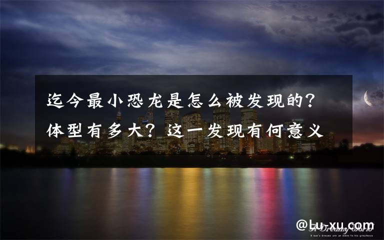 迄今最小恐龙是怎么被发现的?体型有多大?这一发现有何意义?