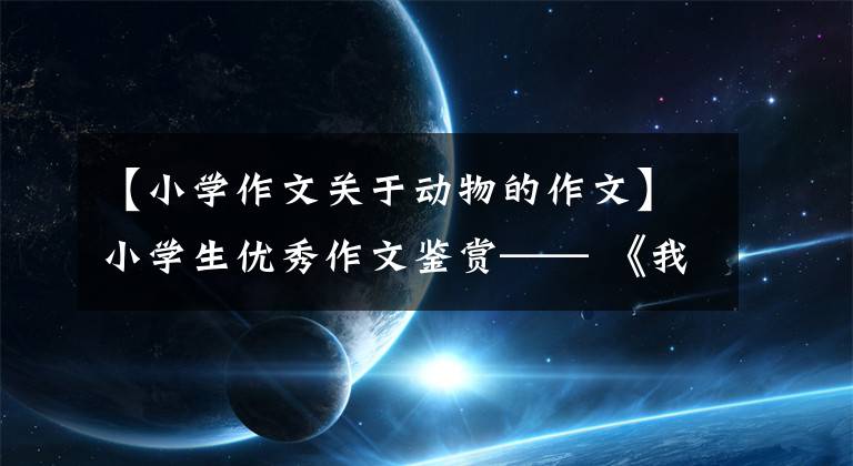 【小学作文关于动物的作文】小学生优秀作文鉴赏—— 《我的动物朋友》 400字，精选范文5篇。