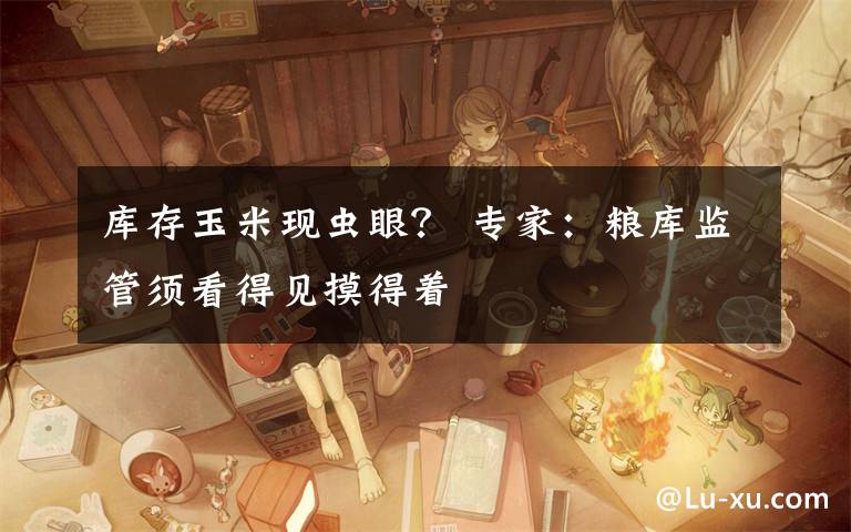 库存玉米现虫眼？ 专家：粮库监管须看得见摸得着