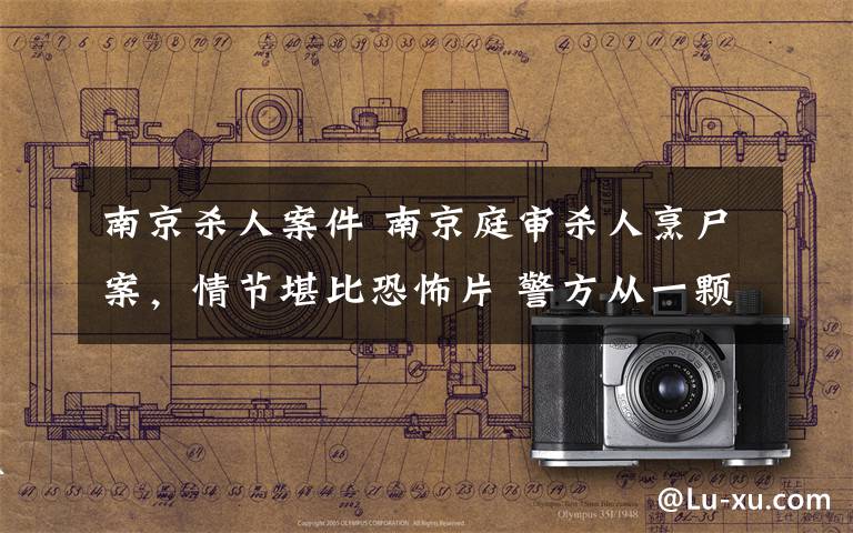 南京杀人案件 南京庭审杀人烹尸案,情节堪比恐怖片 警方从一颗遗落的牙齿找出真凶