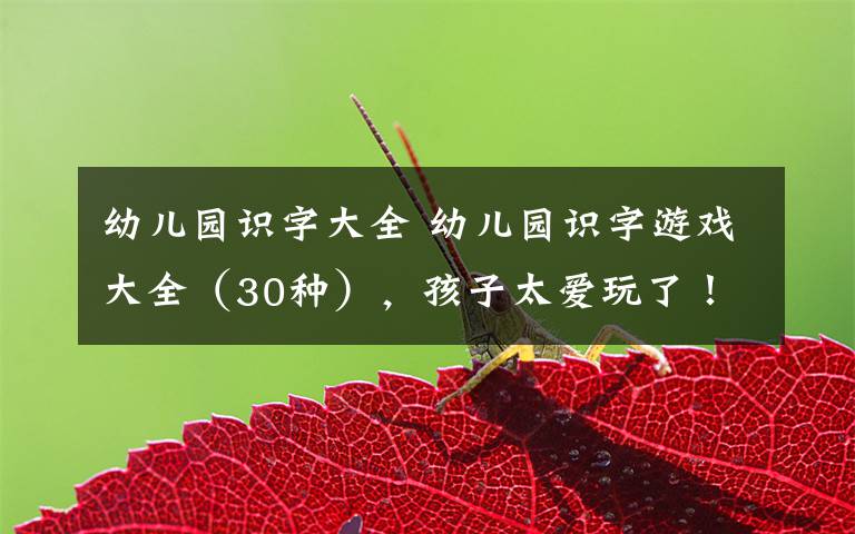 幼儿园识字大全 幼儿园识字游戏大全(30种),孩子太爱玩了!