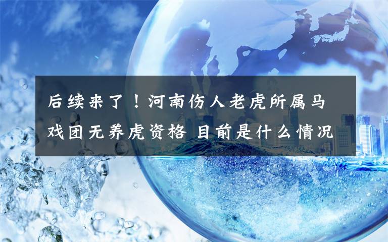 后续来了!河南伤人老虎所属马戏团无养虎资格 目前是什么情况?