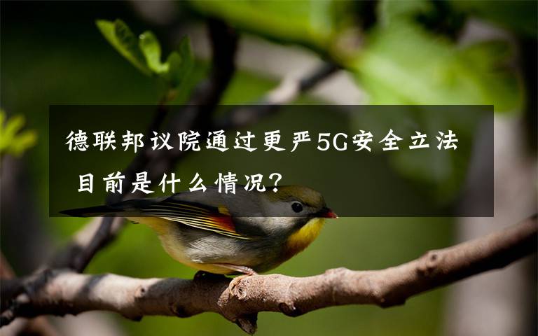 德联邦议院通过更严5G安全立法 目前是什么情况?