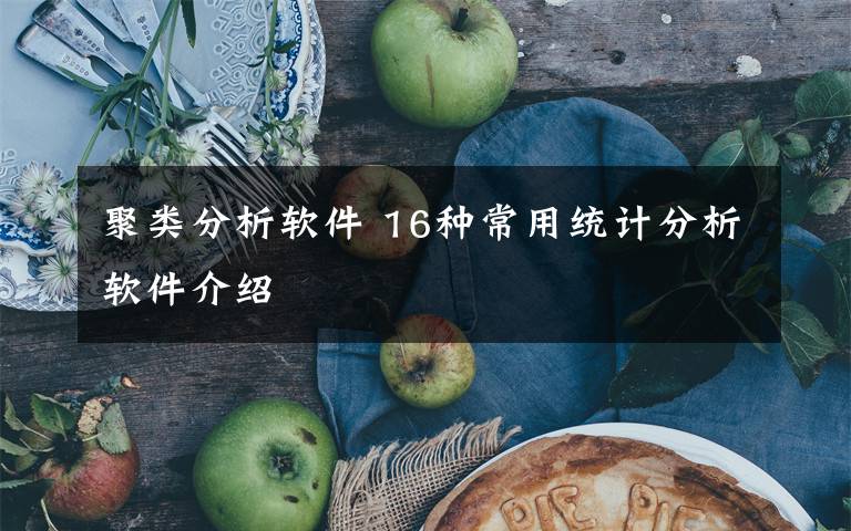 聚类分析软件 16种常用统计分析软件介绍