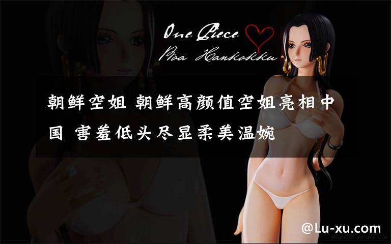 朝鲜空姐 朝鲜高颜值空姐亮相中国 害羞低头尽显柔美温婉