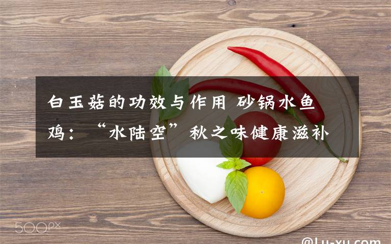 白玉菇的功效与作用 砂锅水鱼焗鸡:“水陆空”秋之味健康滋补