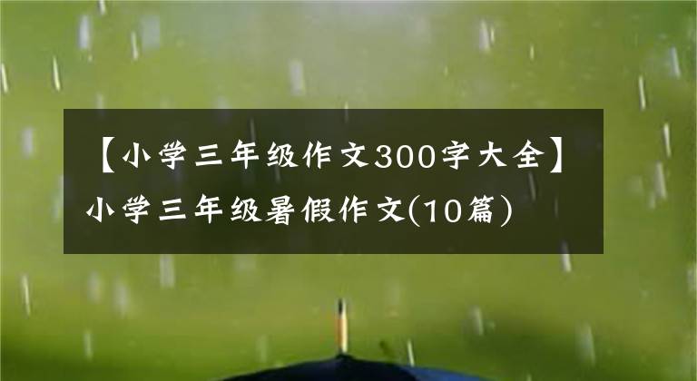 【小学三年级作文300字大全】小学三年级暑假作文(10篇)