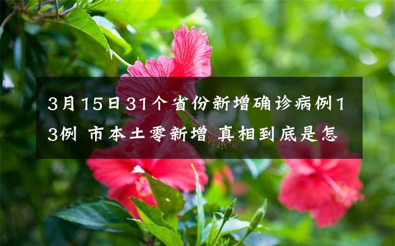 3月15日31个省份新增确诊病例13例 市本土零新增 真相到底是怎样的?