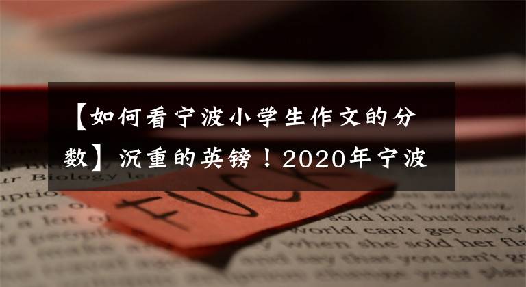 【如何看宁波小学生作文的分数】沉重的英镑!2020年宁波市直属普通高中投稿分数线公布