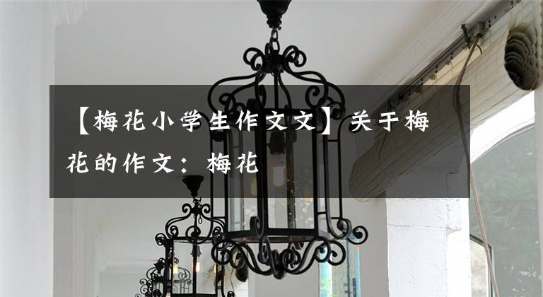 【梅花小学生作文文】关于梅花的作文:梅花