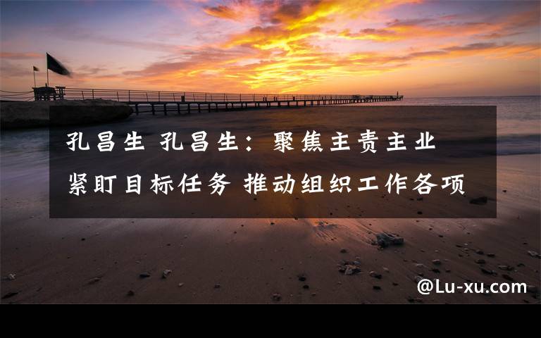 孔昌生 孔昌生:聚焦主责主业 紧盯目标任务 推动组织工作各项任务落地见效