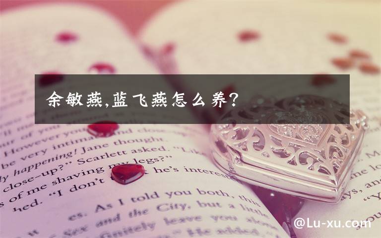 余敏燕,蓝飞燕怎么养？