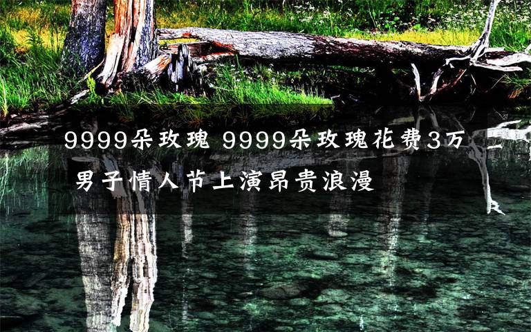 9999朵玫瑰 9999朵玫瑰花费3万 男子情人节上演昂贵浪漫