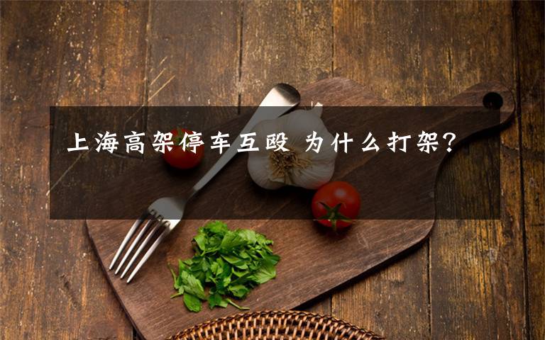 上海高架停车互殴 为什么打架?