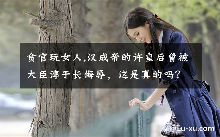 贪官玩女人,汉成帝的许皇后曾被大臣淳于长侮辱,这是真的吗?她是怎么死的?