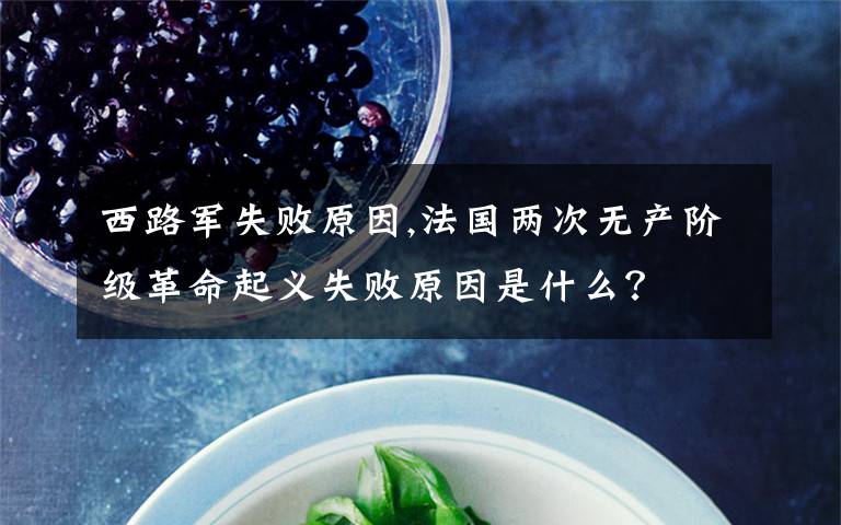 西路军失败原因,法国两次无产阶级革命起义失败原因是什么?