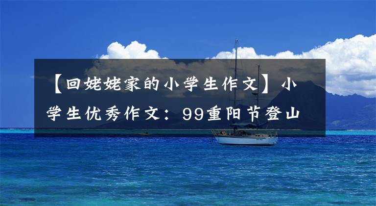 【回姥姥家的小学生作文】小学生优秀作文：99重阳节登山
