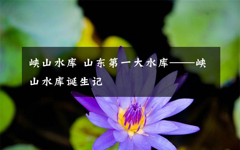 峡山水库 山东第一大水库——峡山水库诞生记