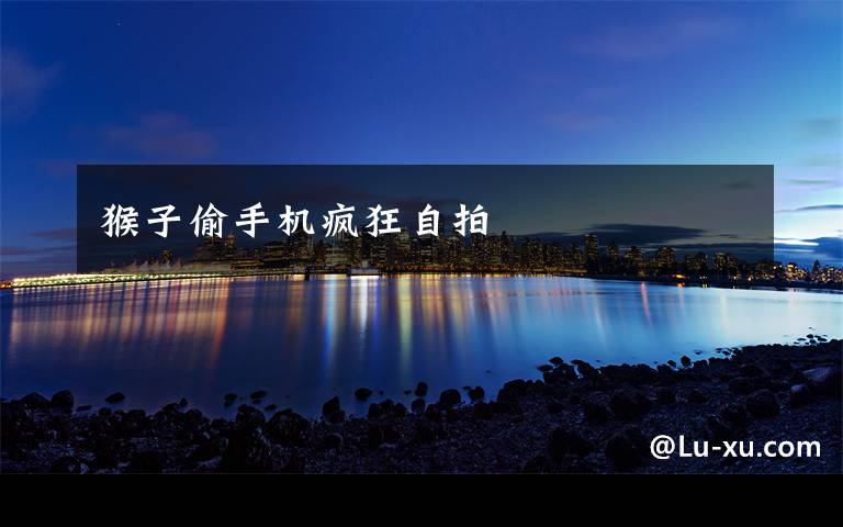 猴子偷手机疯狂自拍