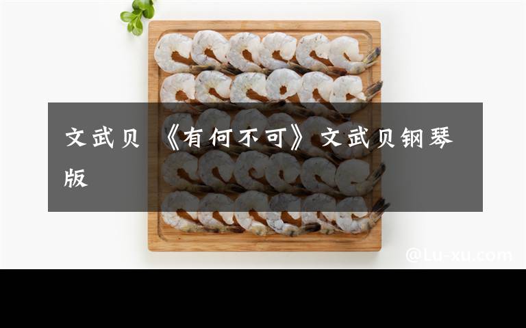 文武贝 《有何不可》文武贝钢琴版