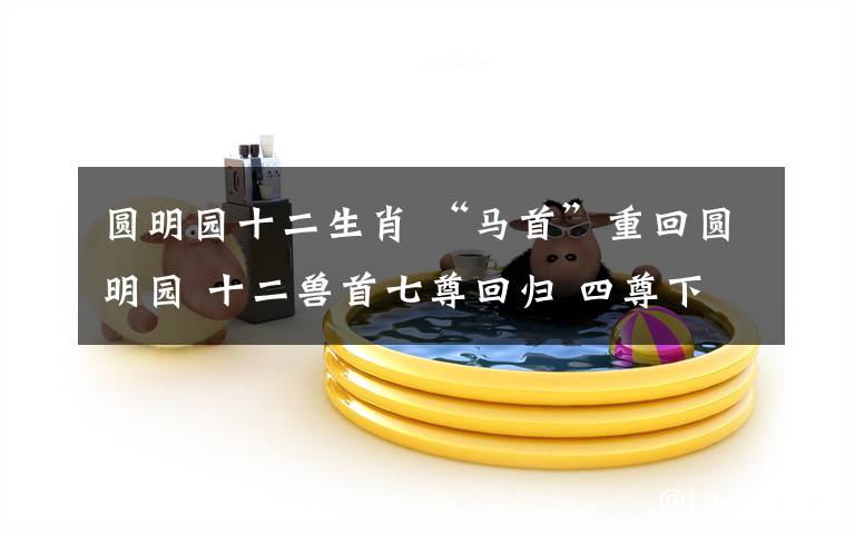 圆明园十二生肖 “马首”重回圆明园 十二兽首七尊回归 四尊下落不明