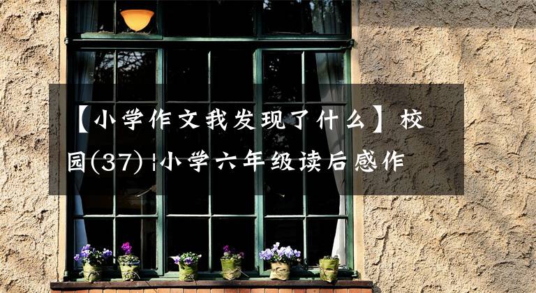 【小学作文我发现了什么】校园(37) |小学六年级读后感作文：要及时发现不足，适应新环境。