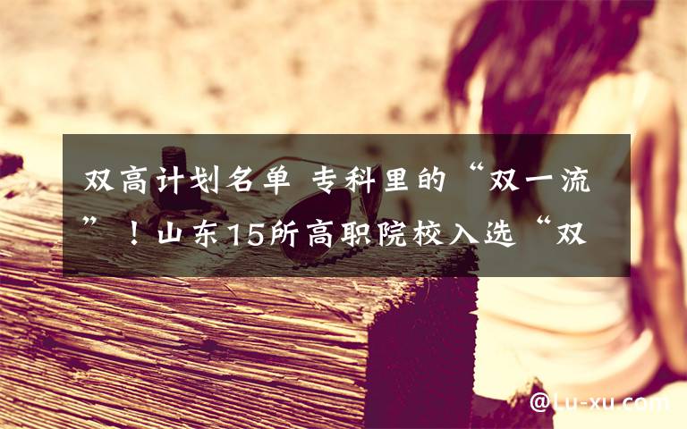 双高计划名单 专科里的“双一流”!山东15所高职院校入选“双高计划”公示名单