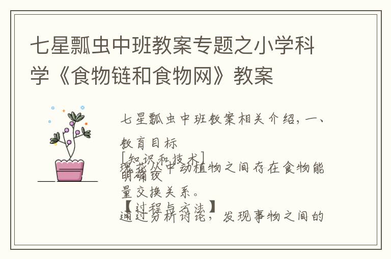 七星瓢虫中班教案专题之小学科学《食物链和食物网》教案