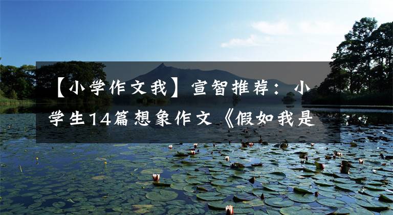 【小学作文我】宣智推荐：小学生14篇想象作文《假如我是......》篇收藏！