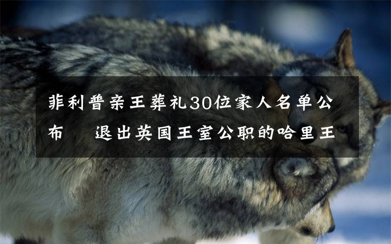 菲利普亲王葬礼30位家人名单公布  退出英国王室公职的哈里王子也已飞回英国 还原事发经过及背后原因!