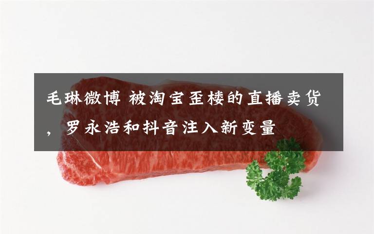 毛琳微博 被淘宝歪楼的直播卖货,罗永浩和抖音注入新变量