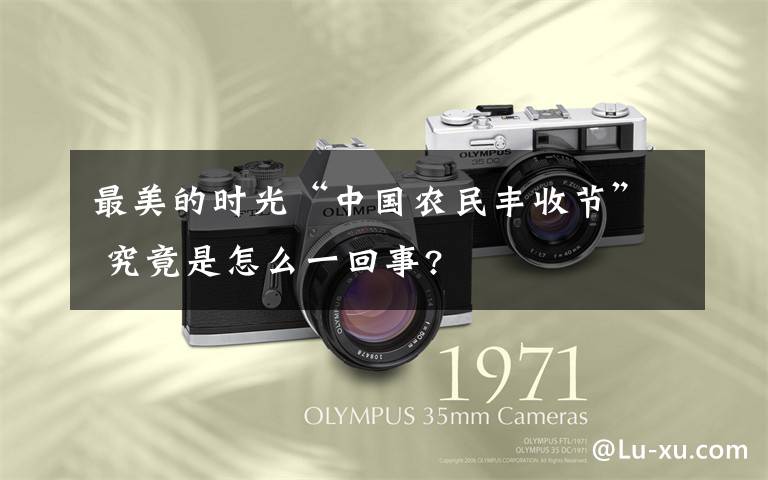 最美的时光“中国农民丰收节” 究竟是怎么一回事?