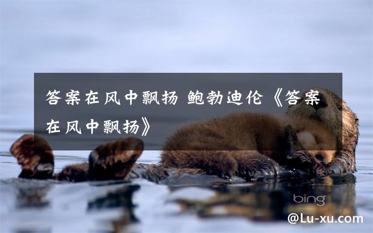 答案在风中飘扬 鲍勃迪伦《答案在风中飘扬》