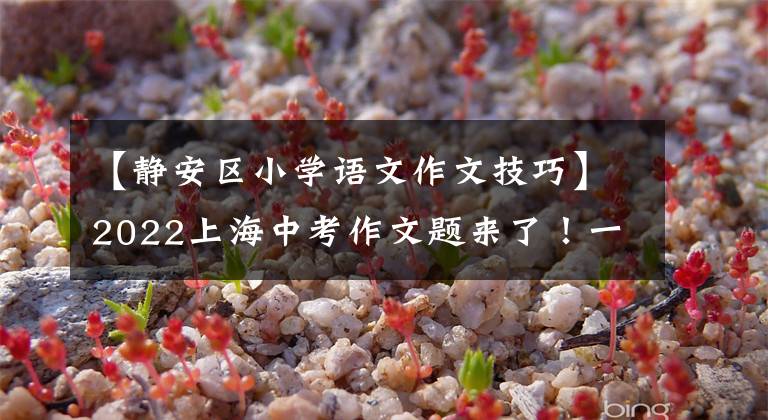 【静安区小学语文作文技巧】2022上海中考作文题来了！一起回忆青春吧