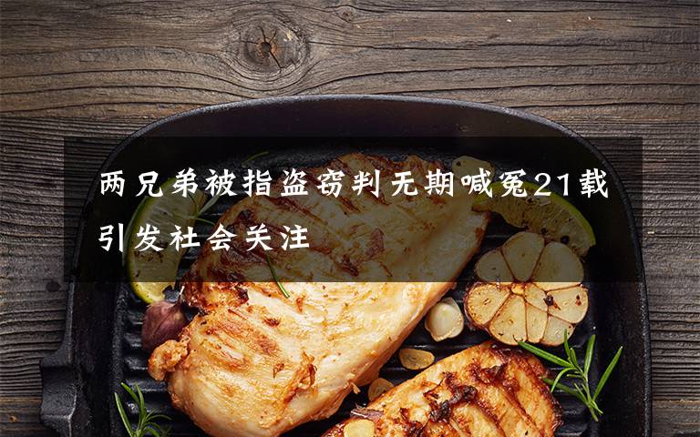 两兄弟被指盗窃判无期喊冤21载 引发社会关注