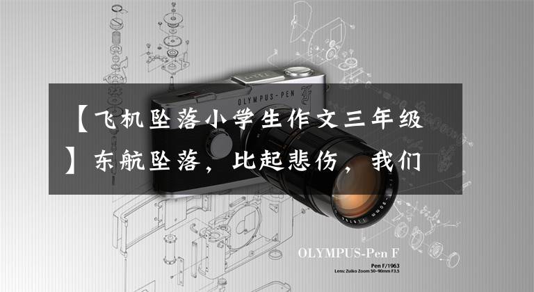 【飞机坠落小学生作文三年级】东航坠落,比起悲伤,我们要更强。这时有你在,我们不怕