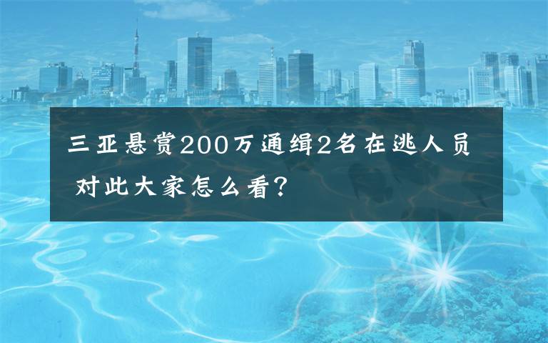 三亚悬赏200万通缉2名在逃人员 对此大家怎么看?