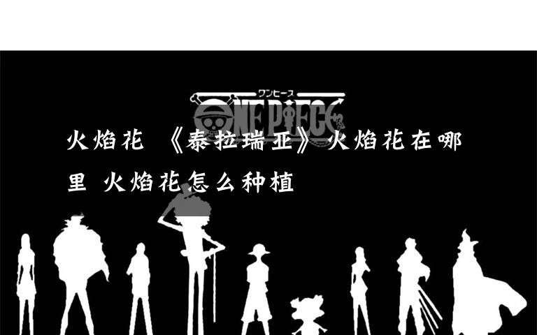 火焰花 《泰拉瑞亚》火焰花在哪里 火焰花怎么种植