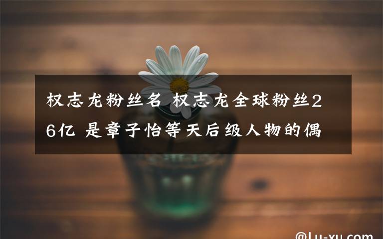 权志龙粉丝名 权志龙全球粉丝26亿 是章子怡等天后级人物的偶像