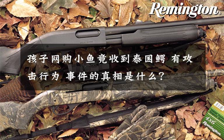 孩子网购小鱼竟收到泰国鳄 有攻击行为 事件的真相是什么?