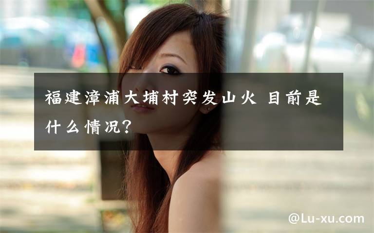 福建漳浦大埔村突发山火 目前是什么情况？