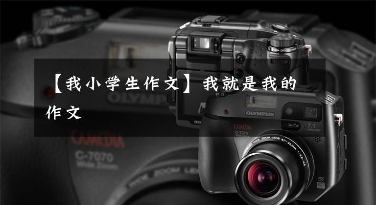 【我小学生作文】我就是我的作文