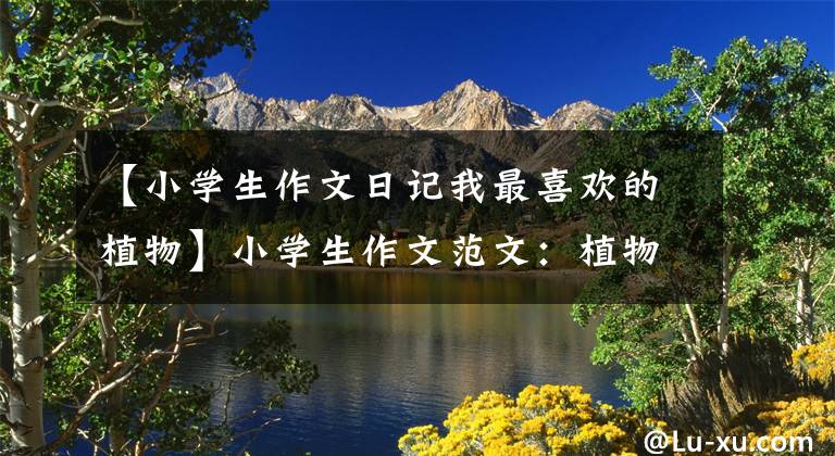 【小学生作文日记我最喜欢的植物】小学生作文范文:植物观察日记2篇《美丽的荷花》