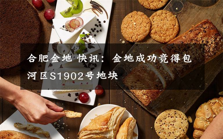 合肥金地 快讯:金地成功竞得包河区S1902号地块