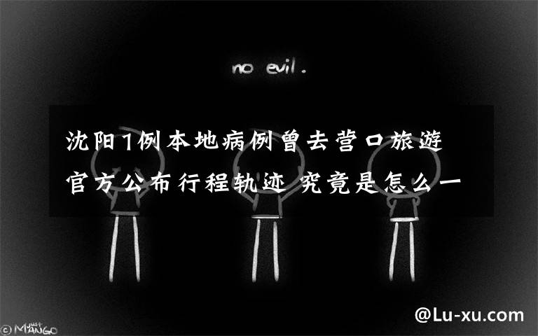 沈阳1例本地病例曾去营口旅游 官方公布行程轨迹 究竟是怎么一回事?