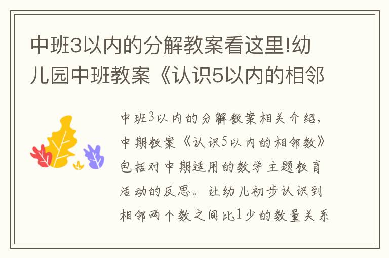 中班3以内的分解教案看这里!幼儿园中班教案《认识5以内的相邻数》含反思