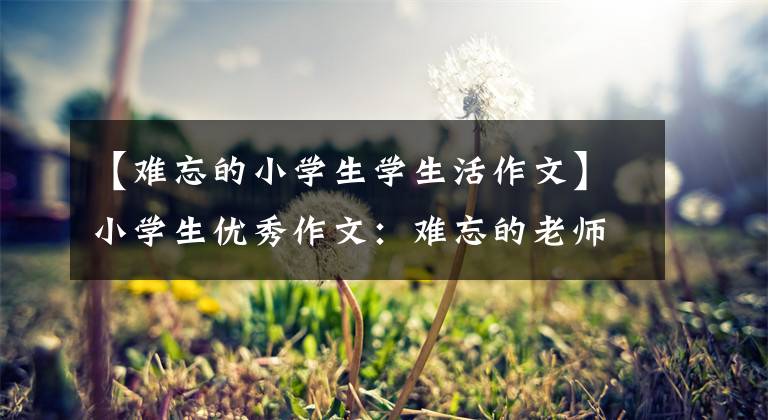 【难忘的小学生学生活作文】小学生优秀作文:难忘的老师(精选4篇)